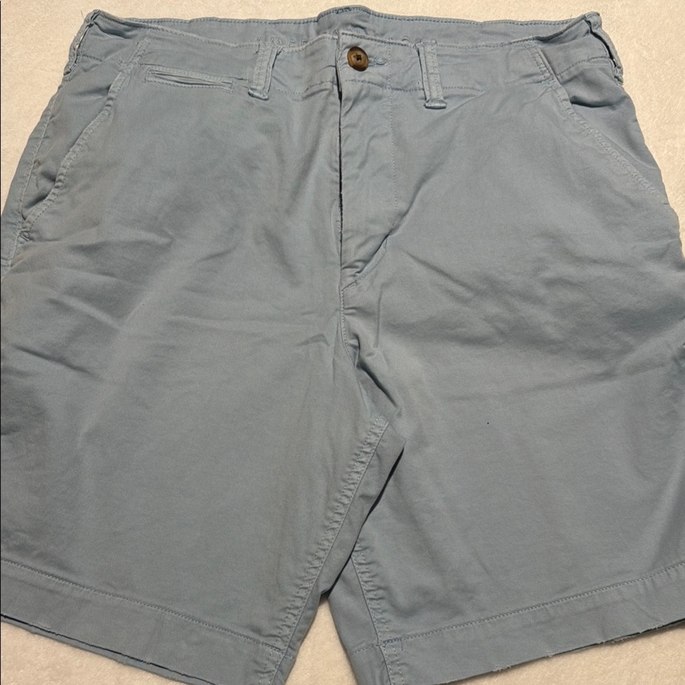 American Eagle Outfitters Blue Flat Front Shorts